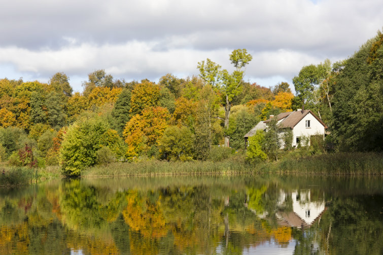 En hytte ved vannet omringet av grønn skog. Foto.